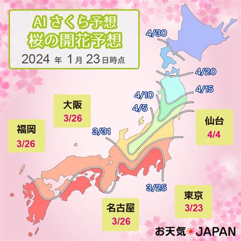 開花|さくら開花予想2024